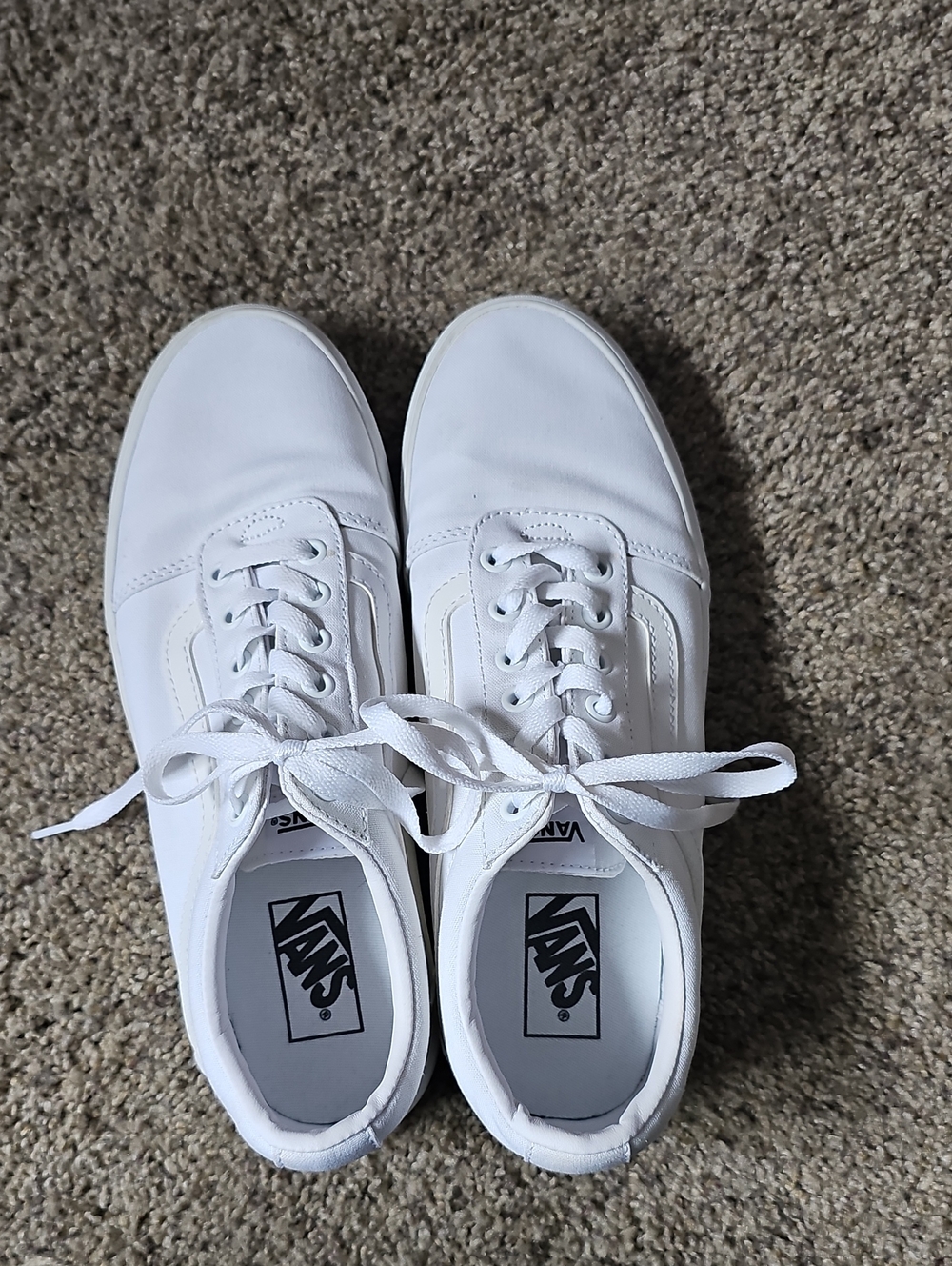 Vans White Low-Top Canvas Sneakers with Lace-Up